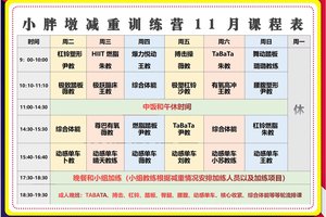  哪里可以找到专业的篮板训练课程？全面解析与最佳选择